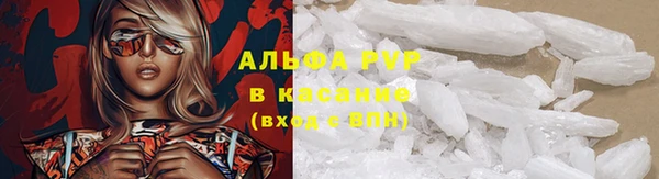 ПСИЛОЦИБИНОВЫЕ ГРИБЫ Балабаново