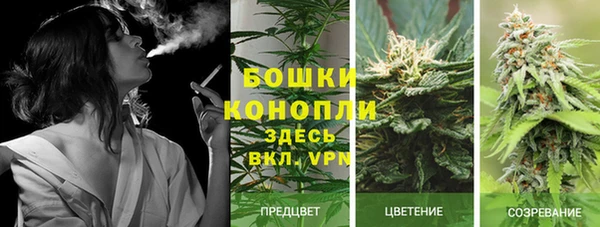 каннабис Армянск